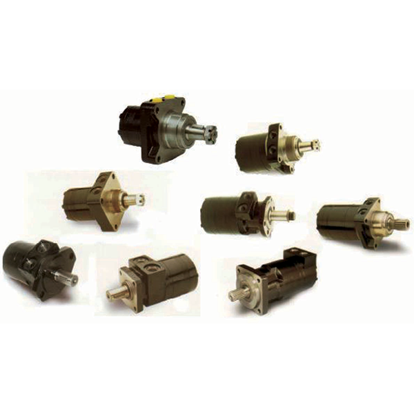 low speed high torque motor